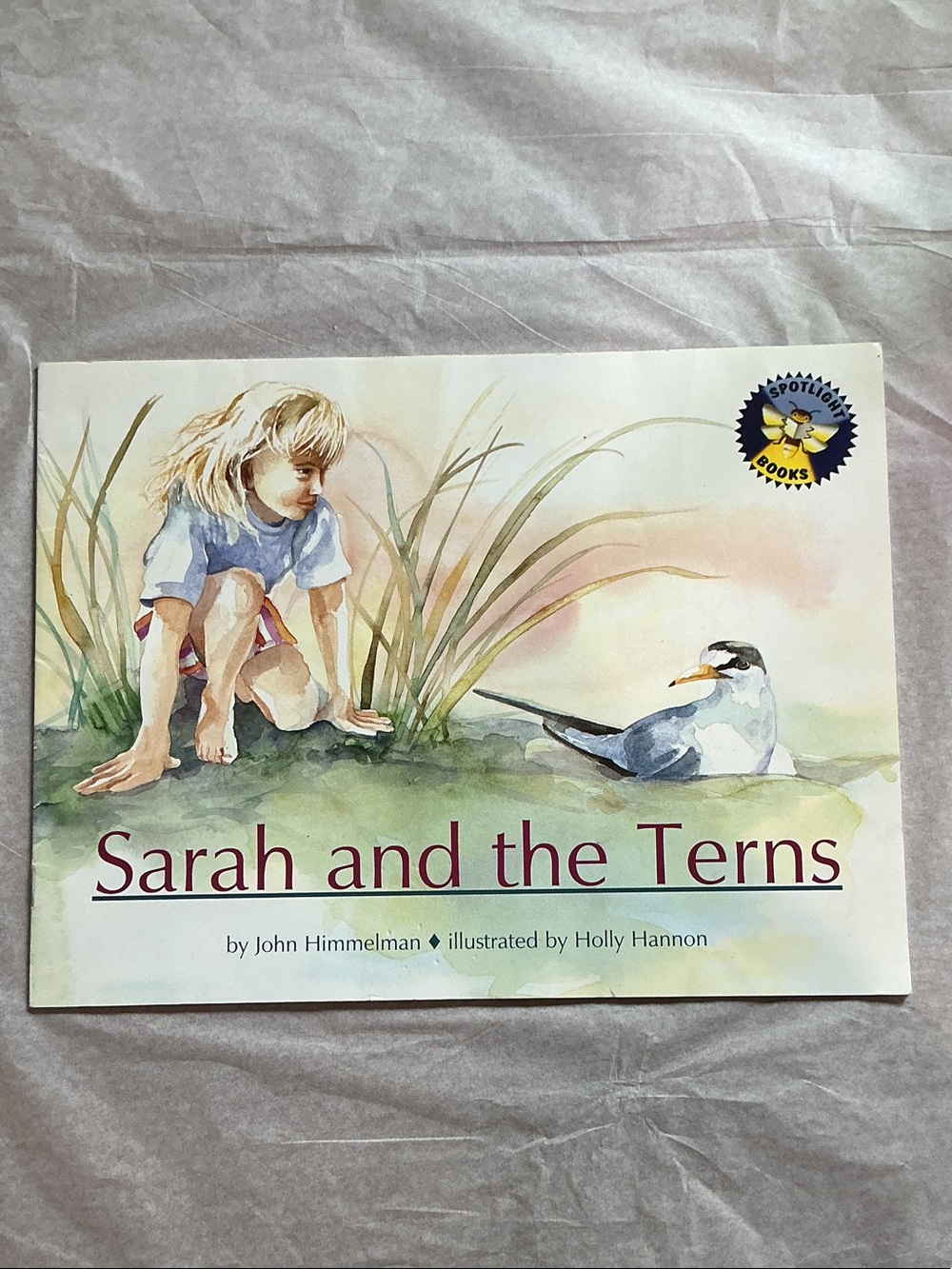 SARAH AND THE TERNS by John Himmelman